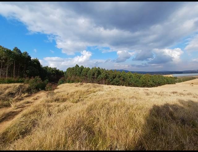 63.80HA FARM FOR SALE IN LIONS RIVER